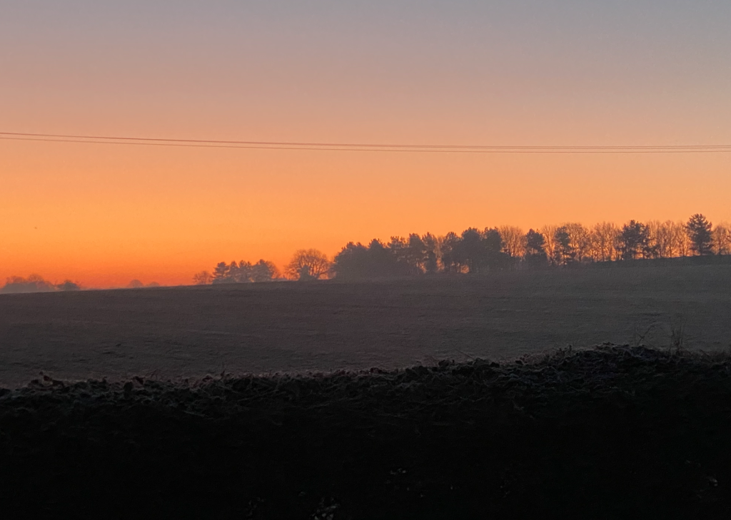 View from my house in the early morning