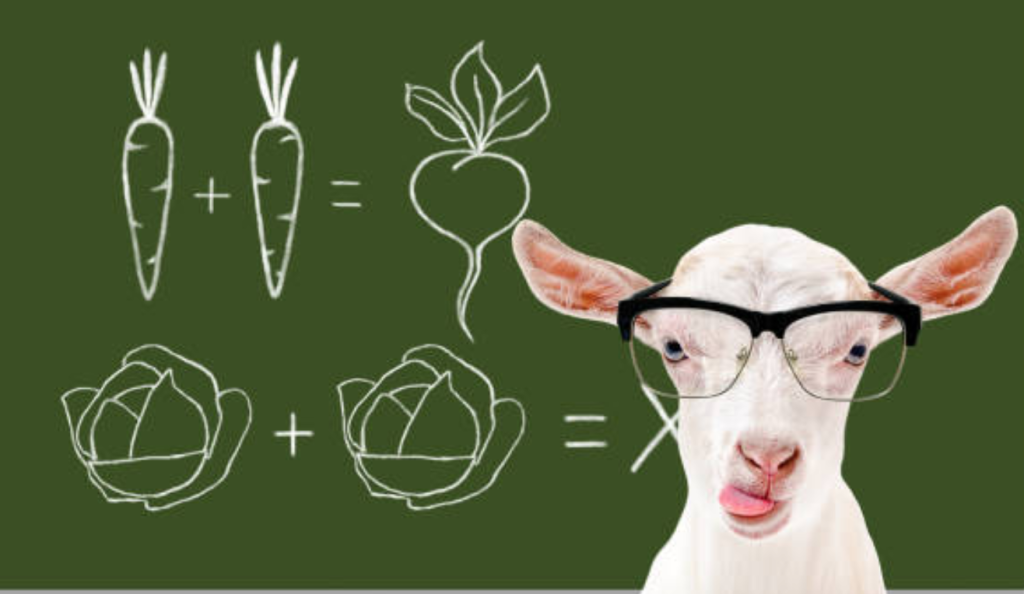 Lessons a goat in class teaches
