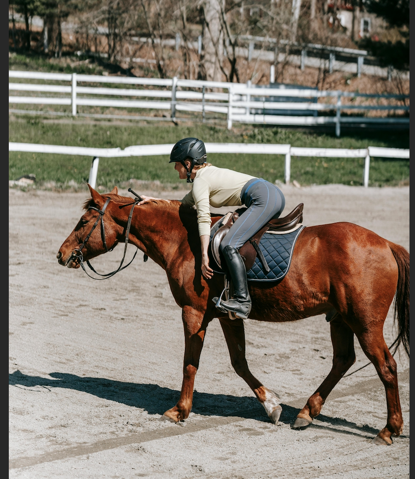 Rider not taking the reins