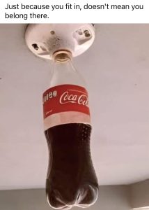 A coca cola bottle screwed into a light fitting.